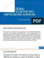 Tema: Otros Sujetos Del Dip Sujetos Atípicos: Mg. Jessie Tapia Díaz