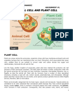 Animal Cell and Plant Cell: John Anderson V. Hernandez 11-JOBS Assignment #1