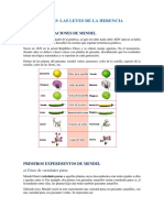 TEMA 3 Parte 1 BIOLOGÍA Y GEOLOGÍA 4 ESO