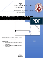 Informe 1 Fisica 2