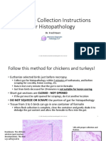 Intestine Collection Instructions For Histopathology: Dr. Fred Hoerr