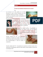 4.2._lesiones_tendinosas.pdf