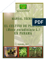 Cultivo de Platano Musa Paradisiaca PDF