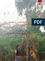 Manejo y control de calidad del palmito