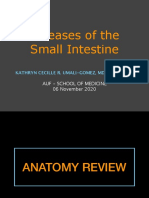 AUF SOM - Dse of Small Intestine PDF