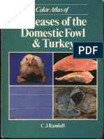 ATLAS - DISEASE OF FOWL & TURKEY.pdf