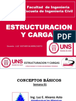 Estructuracion y Cargas - Iu S1