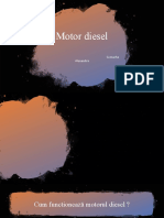 Alexandra Costache - Motor Diesel