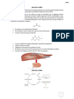 Ciclo de La Urea