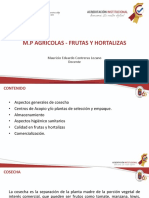 Frutas y Hortalizas PDF