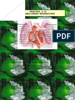 Texto Cardiorespiratorio PDF