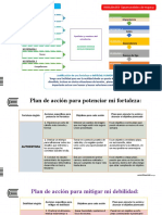 PLan de Accion Metas Objetivos