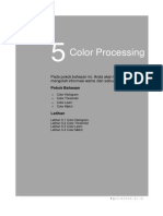 5 Color-Processing