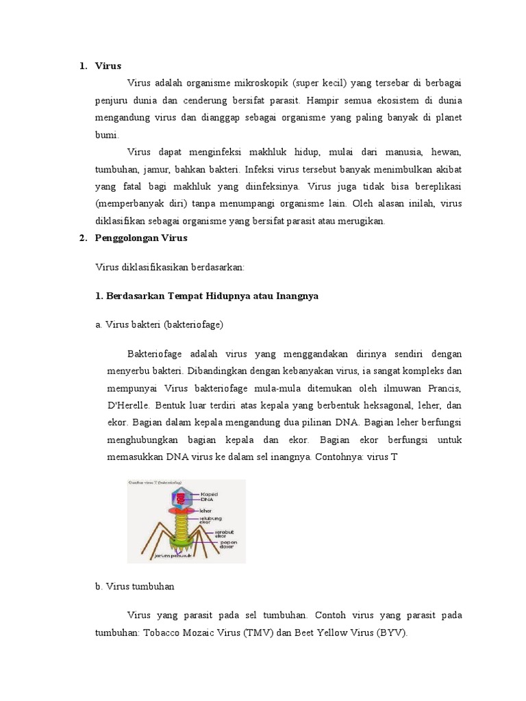 Virus Pdf