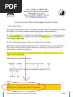 PDF Documento