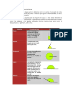 Tipos de Ángulos y Sus Características