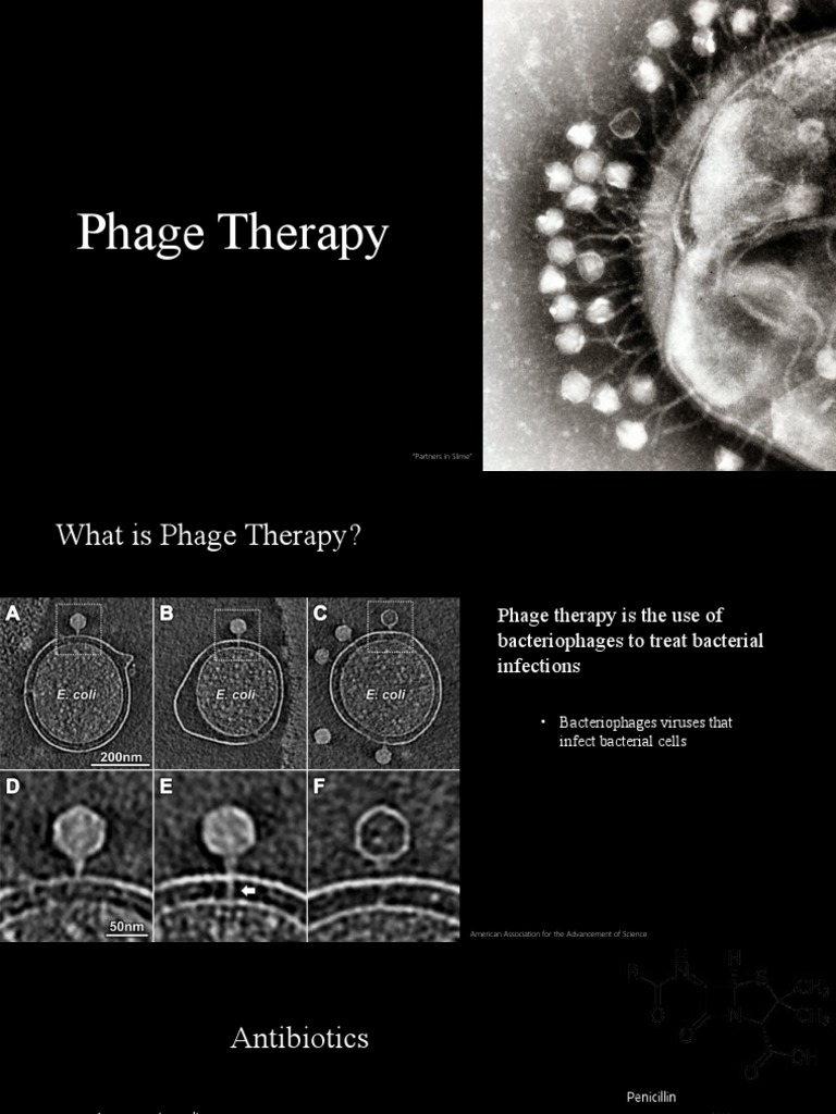 Phage Therapy | PDF | Bacteriophage | Antimicrobial Resistance