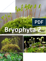 Bryophyta 2: Didi Jaya Santri
