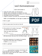 Genes-and-Chromosomes-worksheet