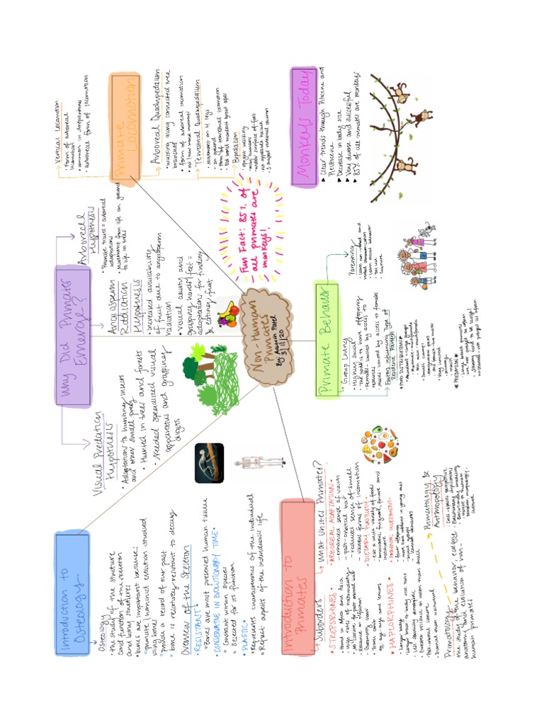 Visual Study Guide # 2 | PDF