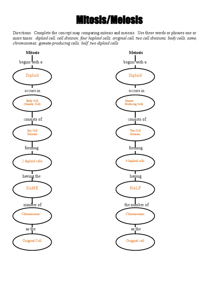 Chromosome Number Worksheet Meiosis Mitosis Pdf Meiosis Ploidy
