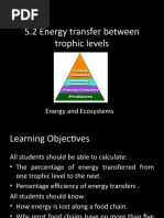 5.2 Energy Transfer Between Trophic Levels