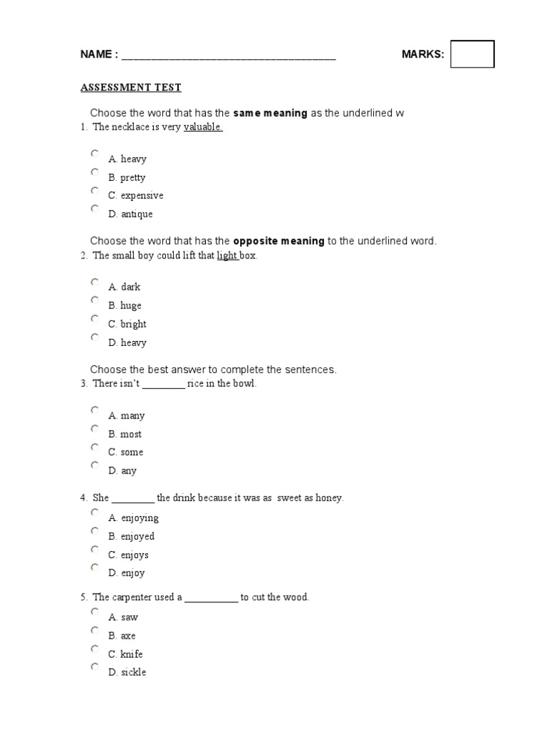 Vocabulary and Grammar Assessment Test | PDF