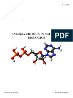 Energia Chimica in Sistemele Biologice