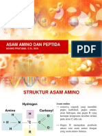 Asam Amino - Peptida