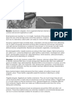 Handout Bacteria Viruses and Fungi