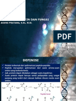 Struktur Protein PDF