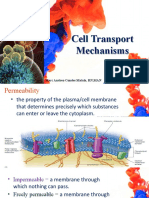 Cell Transport Mechanisms