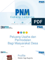 Materi PT PNM - Peluang Usaha