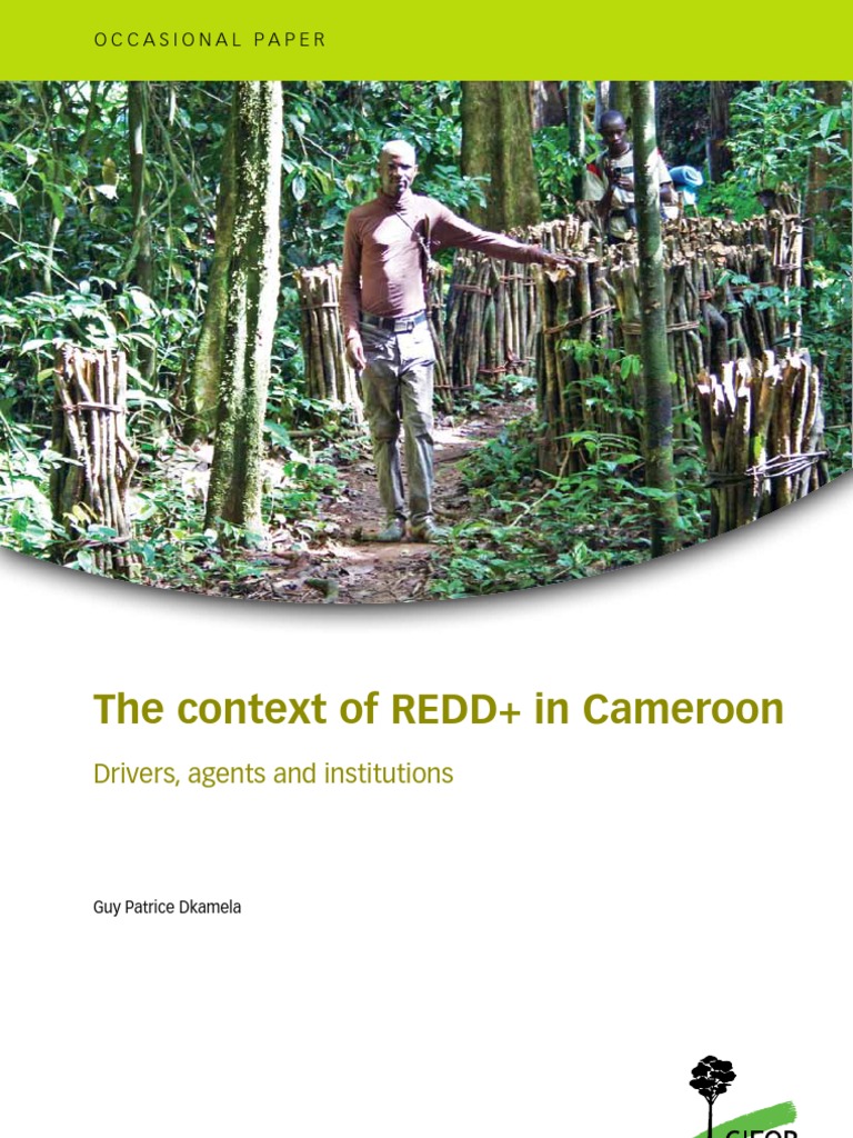 REDD Cameroon | PDF | Reducing Emissions From Deforestation And Forest ...