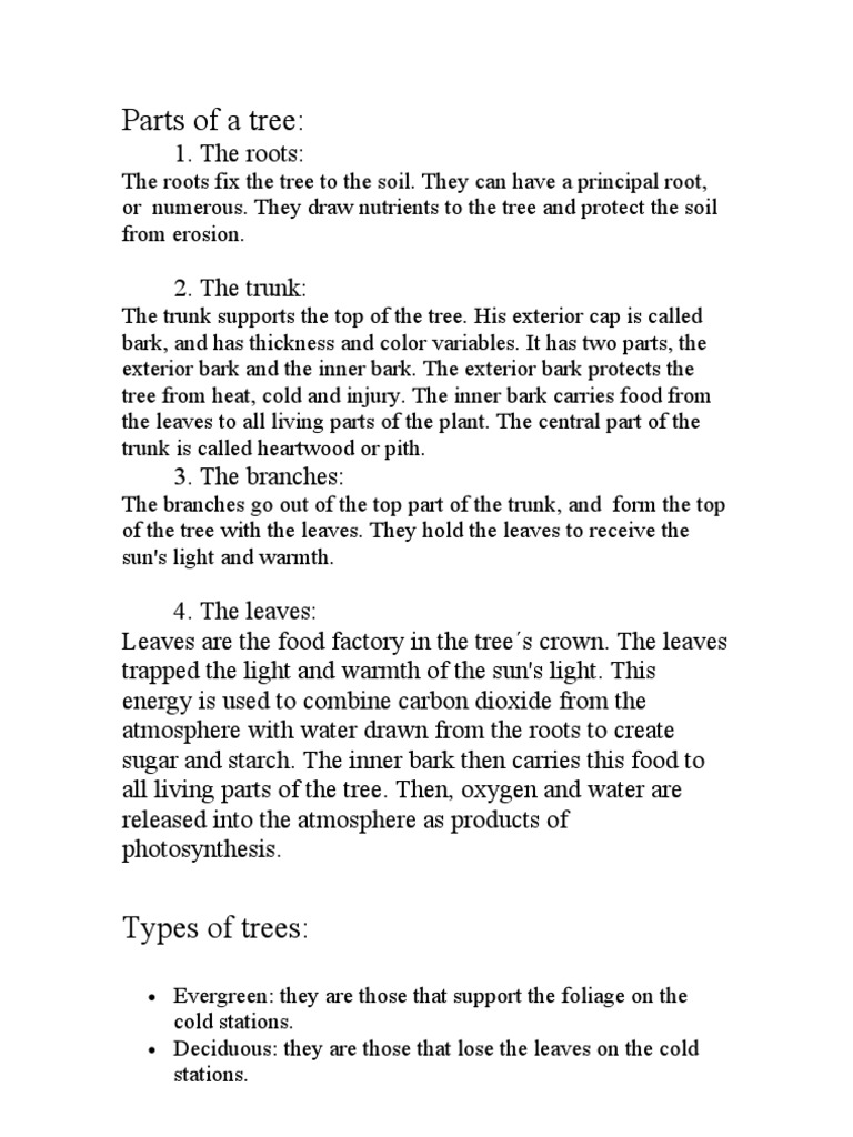 Parts of a Tree and Their Functions | PDF