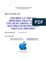 Báo Cáo Fractal PDF