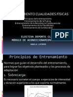 Entrenamiento cualidades físicas principios