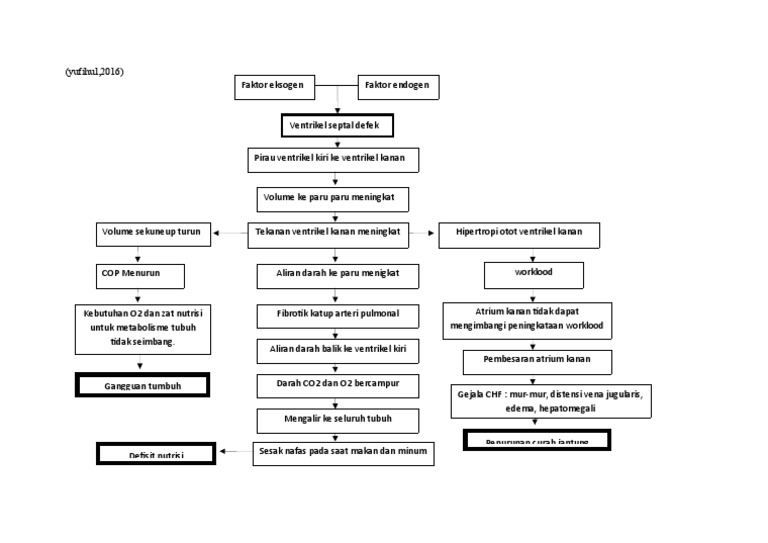 Patofisiologi VSD pada Anak | PDF