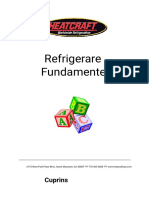 FundamentalsManual-Romanian