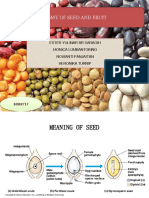 Anatomy of Seed and Fruit