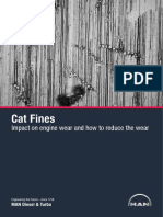 Catfines-paper.pdf