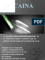 Cocaina Toxi