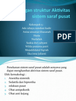 Hsa Sistem Saraf Pusat KLP.5