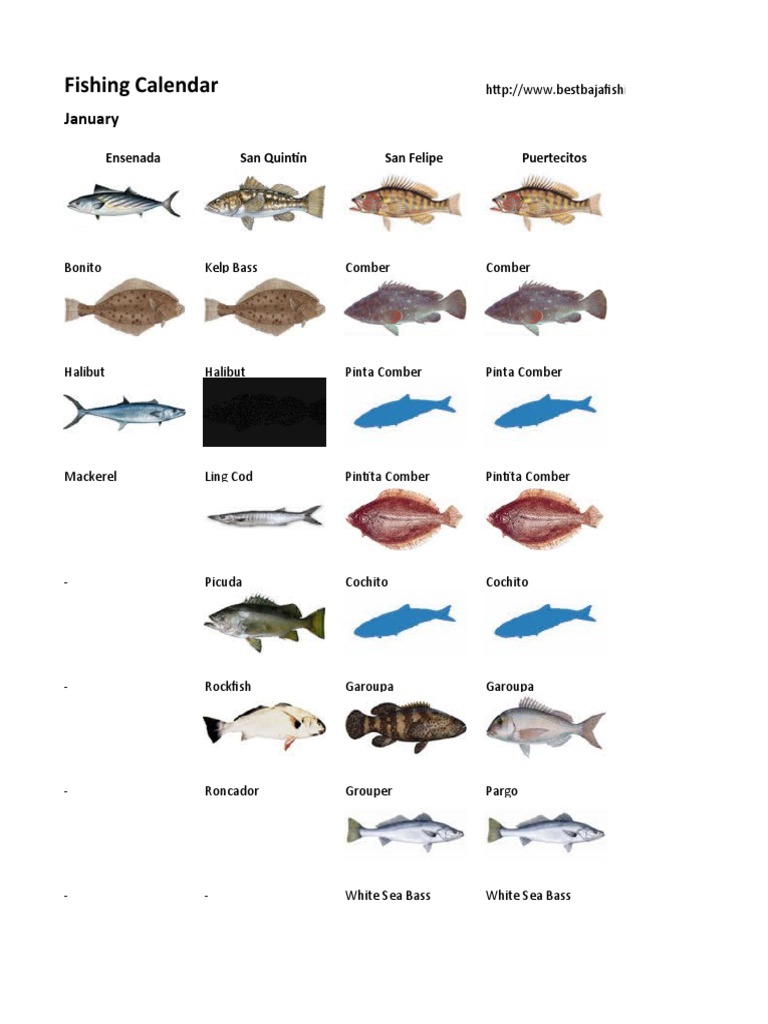 Fishing Calendar Calendario de Pesca PDF Tuna Fish