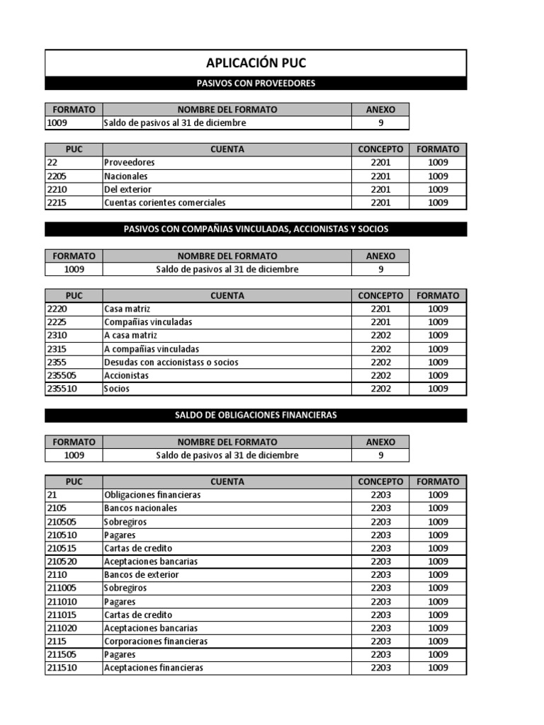 Conceptos del Formato 1009 PUC | PDF | Corporaciones | Derecho empresarial