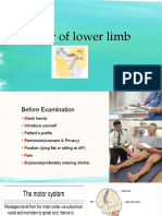 Power of Lower Limb: DR - Tayyeba Iftikhar Mirza Senior Lecturer DME