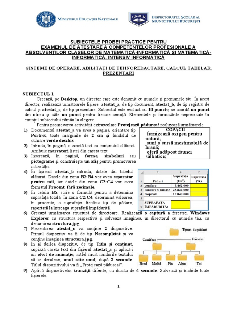 Subiecte SO WORD EXCEL POWERPOINT | PDF