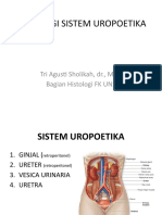 12 - HISTOLOGI SISTEM UROPOETIKA-dr Tri Agusti