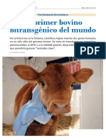 05.1_Bovino_bitransgenico_Rosita.pdf