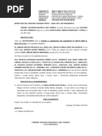 Guía Rápida para Minuta RPI | PDF
